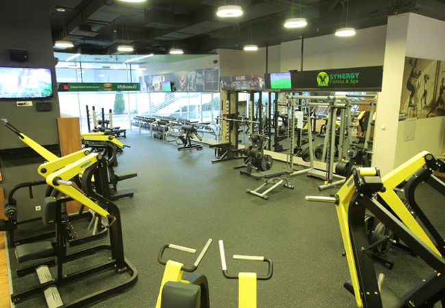 Strength area – Synergy Fitness & Spa, Skopje